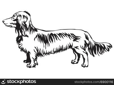 Decorative contour portrait of standing in profile Long-haired Dachshund dog, vector isolated illustration in black color on white background