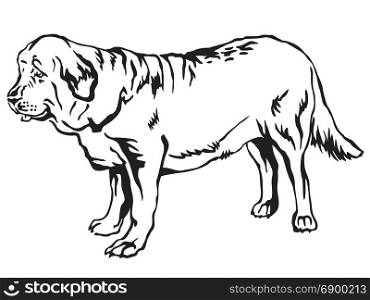 Decorative contour portrait of standing in profile Spanish Mastiff dog, vector isolated illustration in black color on white background