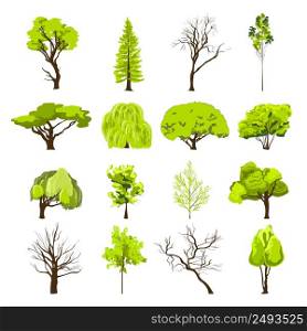 Decorative deciduous foliage and conifer forest park trees silhouette abstract design icons set sketch isolated vector illustration