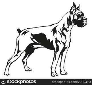 Decorative dog Boxer vector illustration in black and white