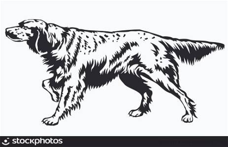 Decorative Dog English setter vector Illustration