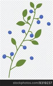 Decorative element of the blueberries on the branches with leaves. Healthy fresh nutrition. Fresh juicy blueberry. Vector illustration