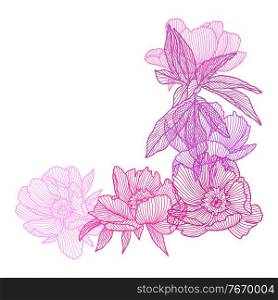Decorative element with linear peonies. Beautiful decorative stylized summer flowers.. Decorative element with linear peonies.