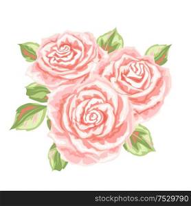 Decorative element with pink roses. Beautiful realistic flowers, buds and leaves.. Decorative element with pink roses.
