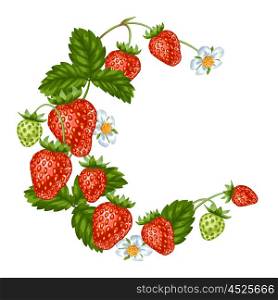 Decorative element with red strawberries. Illustration of berries and leaves. Decorative element with red strawberries. Illustration of berries and leaves.