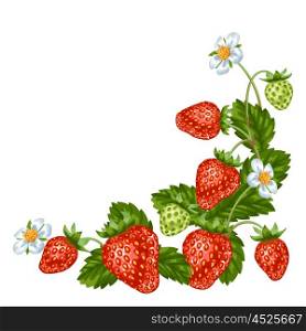 Decorative element with red strawberries. Illustration of berries and leaves. Decorative element with red strawberries. Illustration of berries and leaves.
