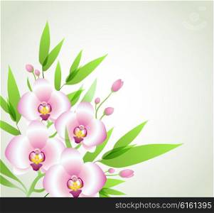 Decorative floral background with pink orchids and green leaves. Vector illustration.