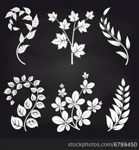 Decorative floral branches on blackboard. Decorative floral branches on blackboard background vector illustration