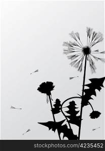 Decorative floral card with dandelion silhouettes and room for text