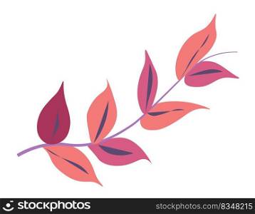 Decorative foliage and branches of plant, isolated botany with leaves and leafage. Botanic ornaments, houseplant or exotic natural flora. Seasonal trend, spring or summer. Vector in flat style. Exotic leaf, decorative foliage branches vector
