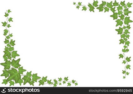 Decorative green ivy wall climbing plant vector image