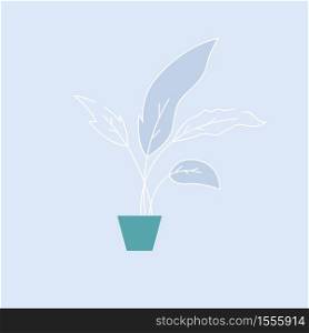 Decorative house plant semi flat RGB color vector illustration. Potted plant with large leaves for home interior decoration. Office plant isolated cartoon object on blue background. Decorative house plant semi flat RGB color vector illustration