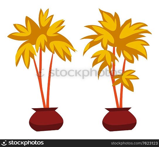 Decorative indoor palm tree in flower pot isolated on white. Exotic room plant with golden yellow leaves. Decorative tropical botanical element vector. Flat cartoon. Decorative House Plant Palm in Flower Pot Vector
