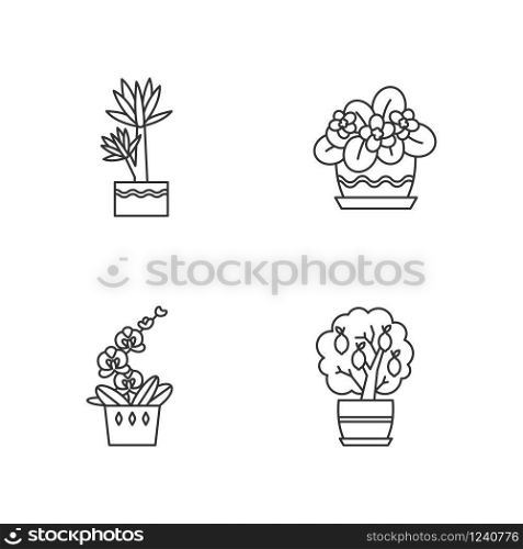 Decorative indoor plants pixel perfect linear icons set. Houseplants. Orchid, yucca. African violet. Customizable thin line contour symbols. Isolated vector outline illustrations. Editable stroke