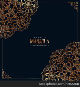 decorative mandala ethnic pattern premium background