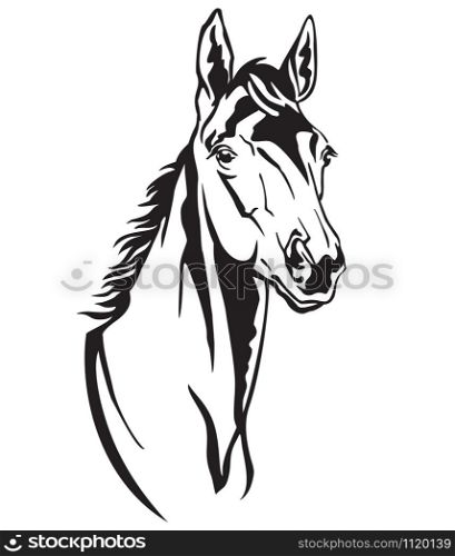 Decorative monochrome contour portrait of beautiful foal looking in profile, vector illustration in black color isolated on white background. Image for logo, design and tattoo.