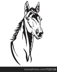 Decorative monochrome contour portrait of beautiful foal looking in profile, vector illustration in black color isolated on white background. Image for logo, design and tattoo.