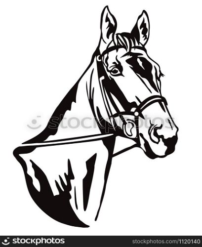 Decorative monochrome contour portrait of beautiful racehorse in bridle looking in profile, vector illustration in black color isolated on white background. Image for logo, design and tattoo.