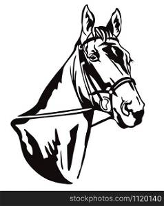 Decorative monochrome contour portrait of beautiful racehorse in bridle looking in profile, vector illustration in black color isolated on white background. Image for logo, design and tattoo.