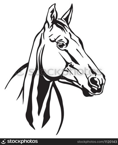 Decorative monochrome contour portrait of beautiful racehorse looking in profile, vector illustration in black color isolated on white background. Image for logo, design and tattoo.