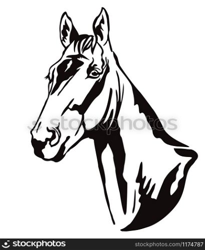 Decorative monochrome contour portrait of beautiful racehorse looking in profile, vector illustration in black color isolated on white background. Image for logo, design and tattoo.