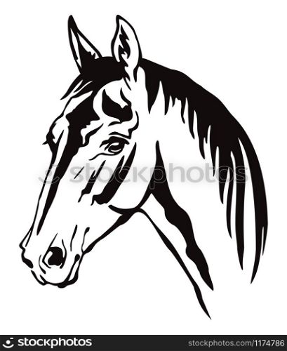 Decorative monochrome contour portrait of horse with long mane looking in profile, vector illustration in black color isolated on white background. Image for logo, design and tattoo.