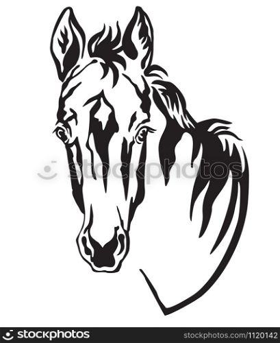 Decorative monochrome contour portrait of pretty foal, vector illustration in black color isolated on white background. Image for logo, design and tattoo.