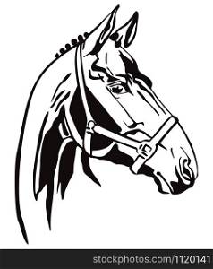 Decorative monochrome contour portrait of racehorse in bridle looking in profile, vector illustration in black color isolated on white background. Image for logo, design and tattoo.