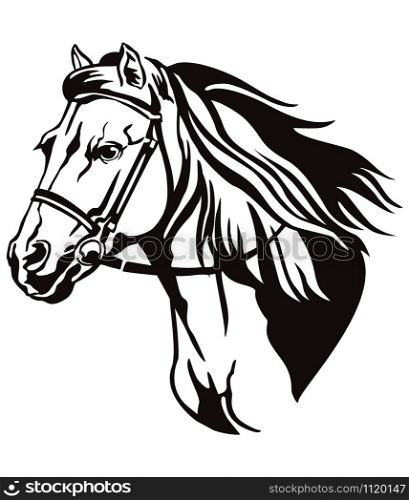 Decorative monochrome contour portrait of running horse in bridle looking in profile, vector illustration in black color isolated on white background. Image for logo, design and tattoo.