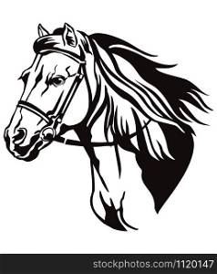 Decorative monochrome contour portrait of running horse in bridle looking in profile, vector illustration in black color isolated on white background. Image for logo, design and tattoo.