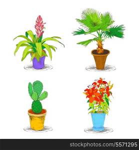 Decorative office interior flower palm cactus plant icons set isolated sketch vector illustration