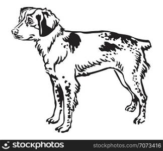Decorative outline monochrome portrait of standing in profile Brittany Dog, vector isolated illustration in black color on white background