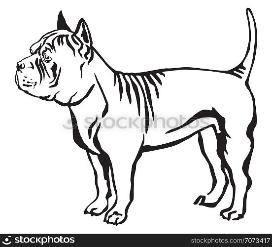 Decorative outline monochrome portrait of standing in profile Chinese Chongqing Dog, vector isolated illustration in black color on white background