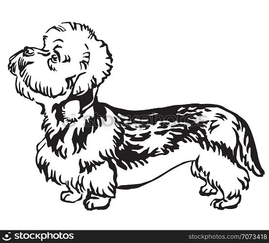 Decorative outline monochrome portrait of standing in profile Dandie Dinmont Terrier Dog, vector isolated illustration in black color on white background
