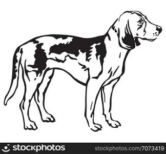 Decorative outline monochrome portrait of standing in profile Estonian Hound Dog, vector isolated illustration in black color on white background