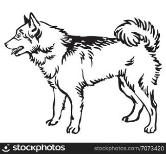 Decorative outline monochrome portrait of standing in profile Finnish Spitz Dog, vector isolated illustration in black color on white background