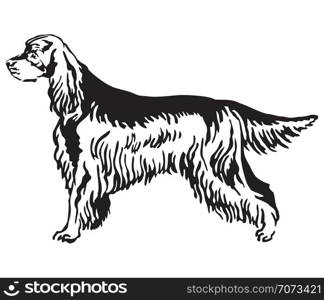 Decorative outline monochrome portrait of standing in profile Gordon Setter Dog, vector isolated illustration in black color on white background