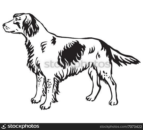 Decorative outline monochrome portrait of standing in profile Small Munsterlander Dog, vector isolated illustration in black color on white background