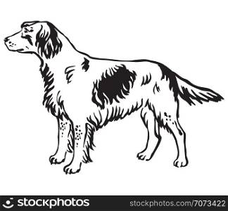 Decorative outline monochrome portrait of standing in profile Small Munsterlander Dog, vector isolated illustration in black color on white background