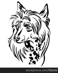 Decorative outline portrait of Chinese Crested Dog, vector illustration in black color isolated on white background. Image for design and tattoo.