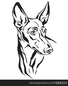 Decorative outline portrait of Cirneco dell' Etna Dog looking in profile, vector illustration in black color isolated on white background. Image for design and tattoo.