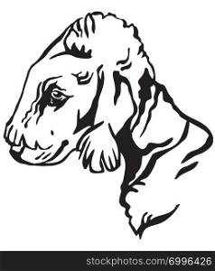 Decorative outline portrait of Dog Bedlington Terrier looking in profile, vector illustration in black color isolated on white background. Image for design and tattoo.