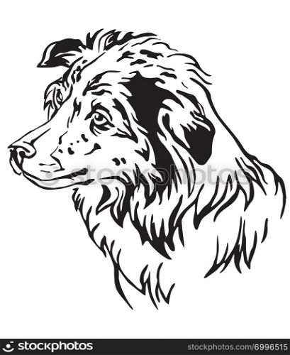 Decorative outline portrait of Dog Border Collie in profile, vector illustration in black color isolated on white background. Image for design and tattoo.