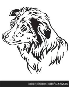 Decorative outline portrait of Dog Border Collie in profile, vector illustration in black color isolated on white background. Image for design and tattoo.