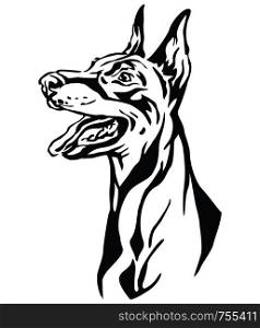 Decorative outline portrait of Dog Dobermann looking in profile, vector illustration in black color isolated on white background. Image for design and tattoo.
