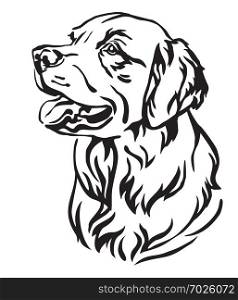 Decorative outline portrait of Dog Golden Retriever looking in profile, vector illustration in black color isolated on white background. Image for design and tattoo.