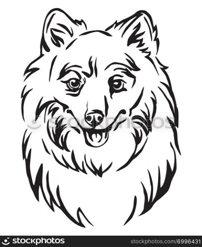 Decorative outline portrait of Dog Japanese Spitz, vector illustration in black color isolated on white background. Image for design and tattoo.