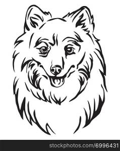 Decorative outline portrait of Dog Japanese Spitz, vector illustration in black color isolated on white background. Image for design and tattoo.