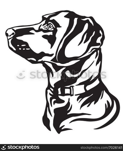 Decorative outline portrait of Dog Labrador Retriever looking in profile, vector illustration in black color isolated on white background. Image for design and tattoo.