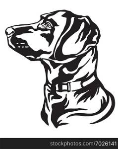 Decorative outline portrait of Dog Labrador Retriever looking in profile, vector illustration in black color isolated on white background. Image for design and tattoo.